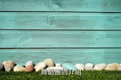 舞蹈圈app,武汉出现首起疑似病例确诊
