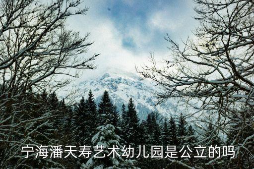  宁海潘天寿艺术幼儿园是公立的吗