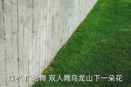 蝶衣 广场舞 双人舞乌龙山下一朵花