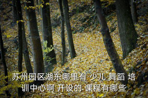 苏州园区湖东哪里有 少儿 舞蹈 培训中心啊 开设的 课程有哪些