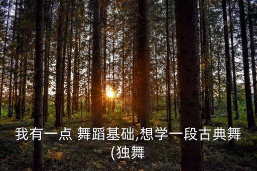 舞蹈罗敷行舞评,李莉杯最后两场女子独舞视频集锦