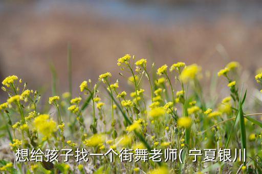 宁夏舞蹈比赛视频,沙狐舞适用于各种类型电子音乐