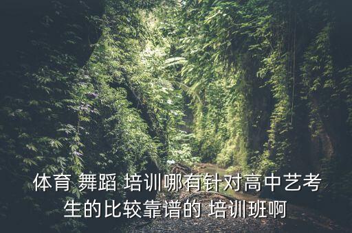  体育 舞蹈 培训哪有针对高中艺考生的比较靠谱的 培训班啊