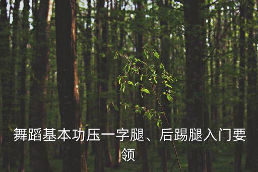  舞蹈基本功压一字腿、后踢腿入门要领