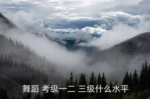 少儿三级考级舞蹈视频,中国舞蹈考级分布及标准