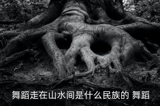  舞蹈走在山水间是什么民族的 舞蹈
