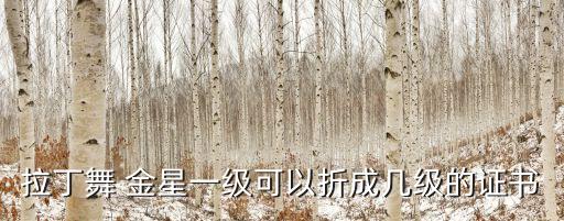 体育舞蹈金星二级桑巴,拉丁舞分五个等级考生需学哪些东西?