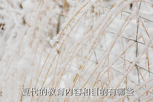 夏代的舞蹈,唐代军事教育以射击为重点旨在培养勇士