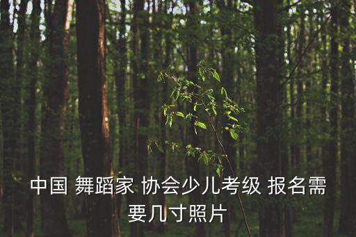中国 舞蹈家 协会少儿考级 报名需要几寸照片