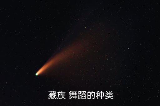  藏族 舞蹈的种类