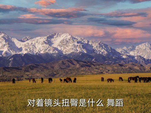 对着镜头扭臀是什么 舞蹈