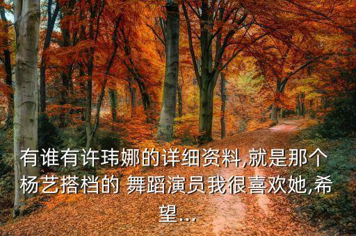 杨艺维吾尔族舞蹈,中国国标舞女将杨艺教舞蹈巴伦柔和感人