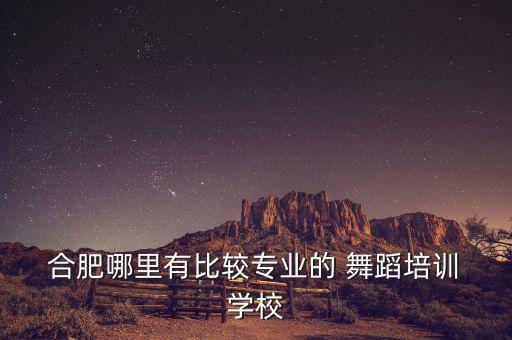  合肥哪里有比较专业的 舞蹈培训 学校