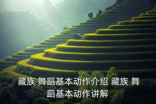学藏族舞蹈教学视频,藏族舞蹈分析