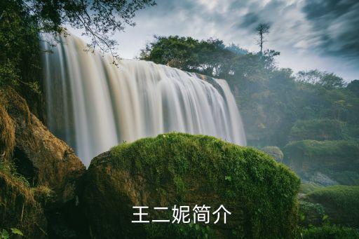 王二妮的舞蹈,陕北民歌领军人物王二妮成名演唱