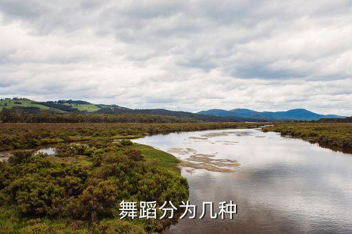 外国古典舞蹈发展阶段,七所印度舞蹈学校-1舞蹈内容介绍