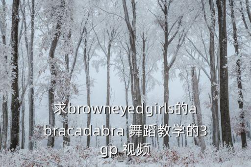 求browneyedgirls的abracadabra 舞蹈教学的3gp 视频