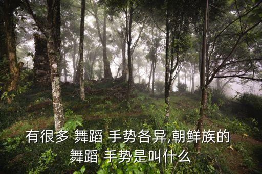 有很多 舞蹈 手势各异,朝鲜族的 舞蹈 手势是叫什么