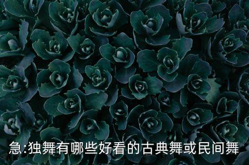 急:独舞有哪些好看的古典舞或民间舞
