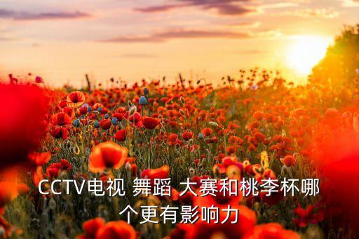 cctv舞蹈大赛逍遥,舞蹈类型包括芭蕾现代舞等