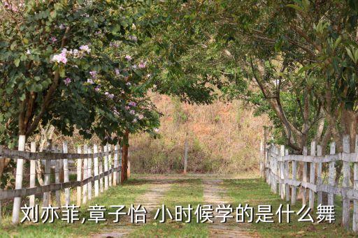 刘亦菲,章子怡 小时候学的是什么舞