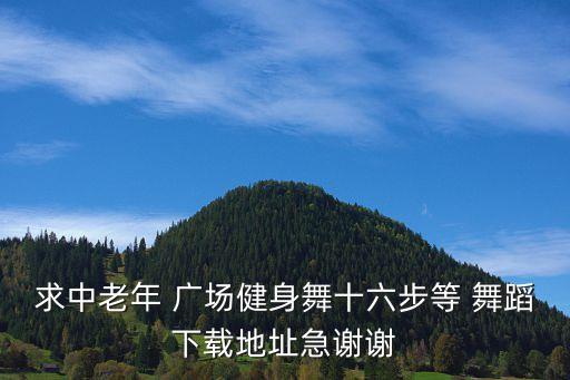 广场舞蹈视频三十步,广场舞蹈入门:如何学习?