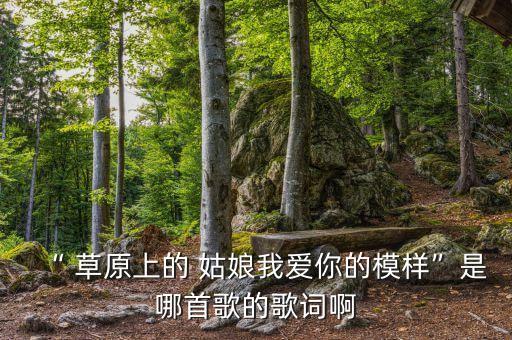 舞蹈我爱的姑娘在草原队形,醉爱草原你的怀抱我找到了天堂