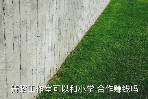  舞蹈工作室可以和小学 合作赚钱吗