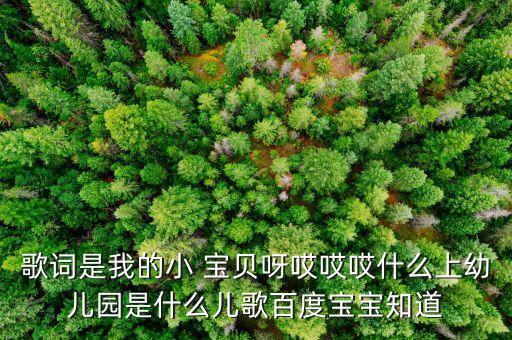 中班我是小宝贝舞蹈视频下载,我是小小宝贝不怕累