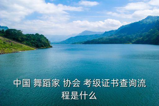 中国 舞蹈家 协会 考级证书查询流程是什么
