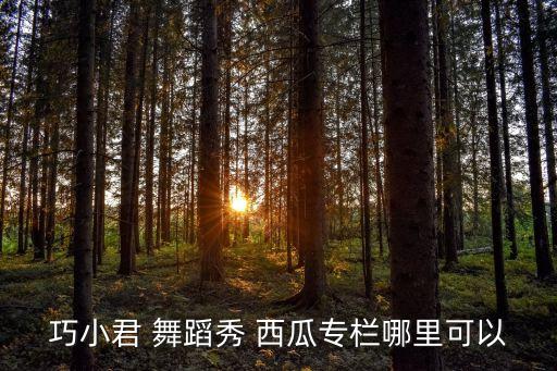 巧小君 舞蹈秀 西瓜专栏哪里可以