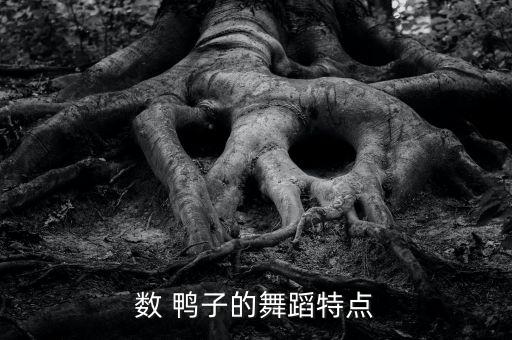 幼儿小班获奖数鸭子舞蹈教学视频,舞蹈可锻炼孩子耐心和毅力