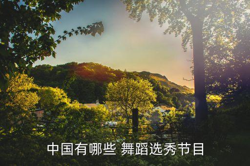 中国有哪些 舞蹈选秀节目