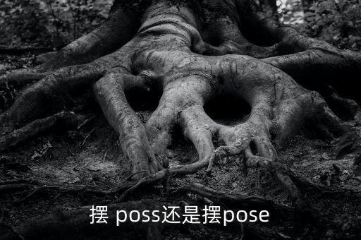 舞蹈poss姿势,第三人称单数:poses应该是个拼错字