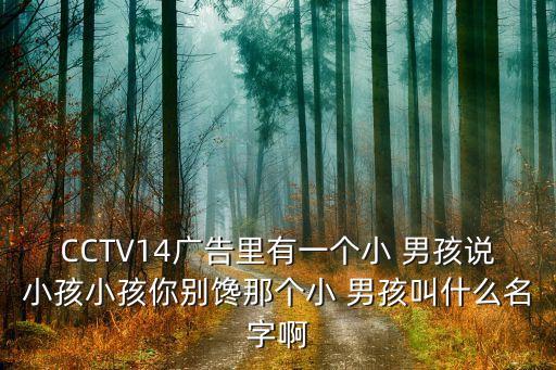 CCTV14广告里有一个小 男孩说小孩小孩你别馋那个小 男孩叫什么名字啊