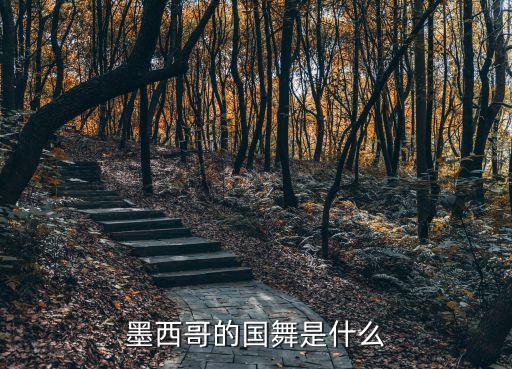 墨西哥的国舞是什么