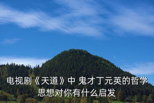 电视剧《天道》中 鬼才丁元英的哲学思想对你有什么启发