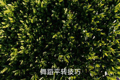 舞蹈旋转技巧教学,华尔兹旋转动作细节教学