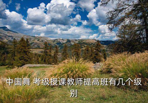 北京舞蹈学院考级三级10,中国舞蹈考级分13级别进行培训