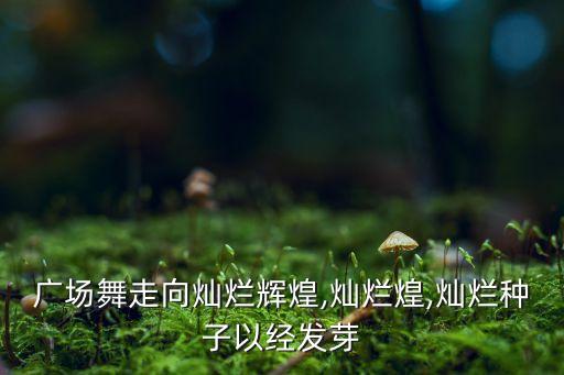 广场舞走向灿烂辉煌,灿烂煌,灿烂种子以经发芽