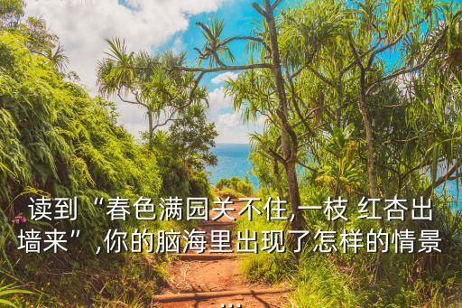 舞蹈 一支红杏,春色关不住满园，红杏出墙来