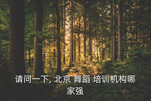 北京专业舞蹈培训学校,舞蹈-1/机构成立专业舞蹈培训机构