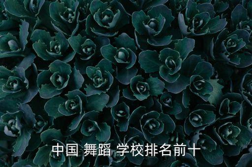 中国 舞蹈 学校排名前十