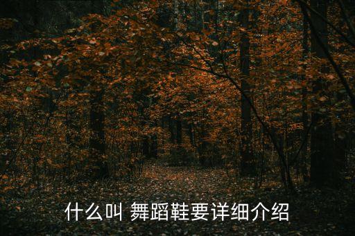 广场舞民族风舞蹈鞋,舞蹈鞋子知多少?