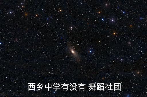  西乡中学有没有 舞蹈社团