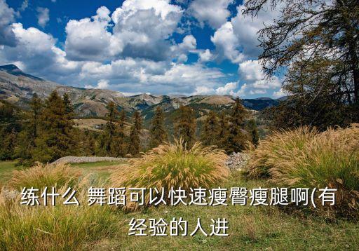 超炫舞蹈,超炫花式舞步也叫夜总会舞步