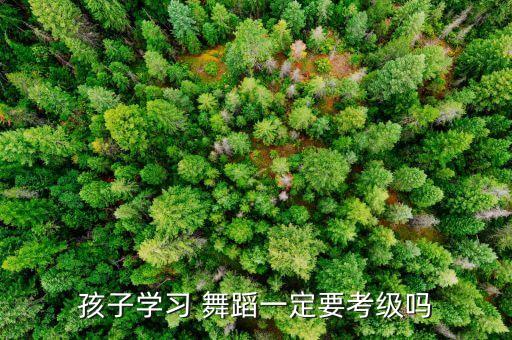 抱端腿四级舞蹈,孩子学习不努力可考虑分级考试锻炼孩子抗压