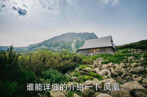 双人凤凰涅??舞蹈,凤凰有五种颜色分辨真假