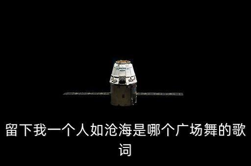 留下我一个人如沧海是哪个广场舞的歌词