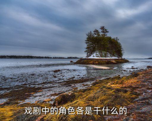 舞蹈表演媒婆,历史划分不同时代folk舞蹈划分界限